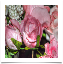 Flower Detail DSC_0022_use - Carol Sparkes